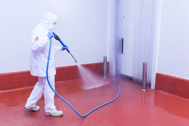 Best Soft Washing  in High Springs, FL