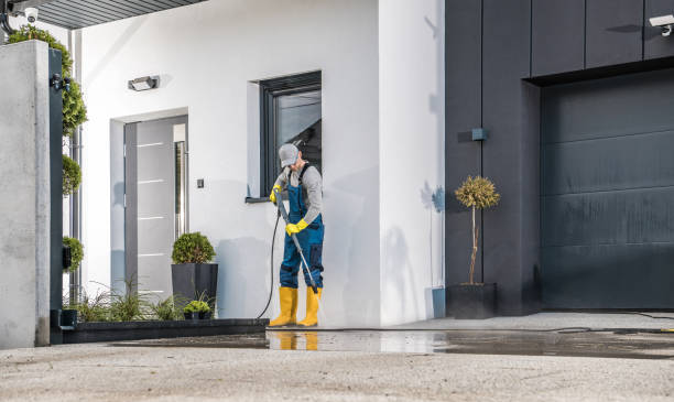 Best Fence Cleaning  in High Springs, FL